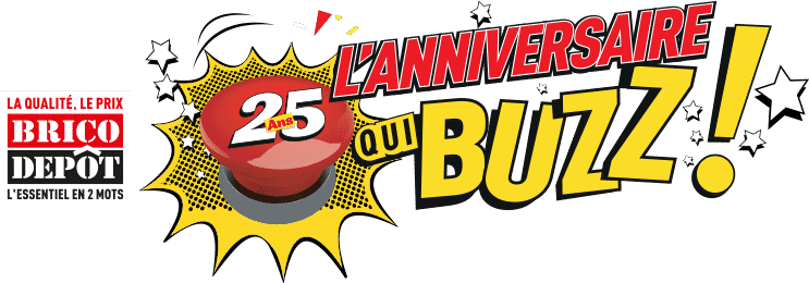 jeu anniversaire qui buzz Brico Dépôt - www.anniversairequibuzz.com